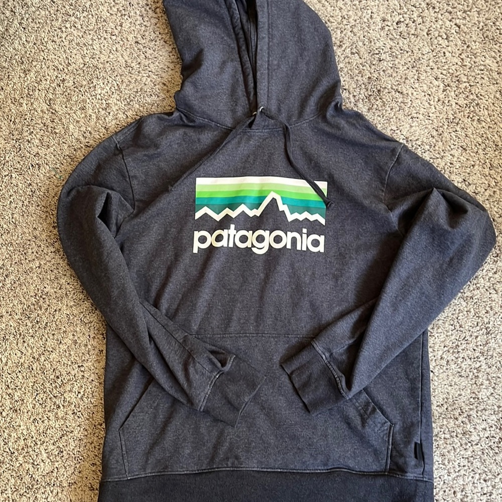 Patagonia Line Logo Hoodie